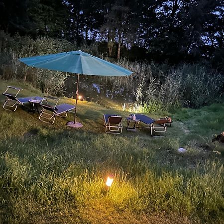 Home Of Oasis - Indoorpool, Sauna, Naturteich Surwold Экстерьер фото
